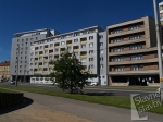 Koldům