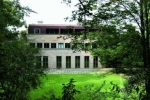 Traubova vila